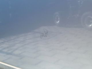 bontott MITSUBISHI COLT Jobb első Ajtó (Üres lemez)