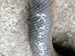 bontott MITSUBISHI L 200 Vízcső