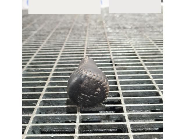 bontott MITSUBISHI L 200 Váltószoknya