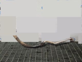 bontott MITSUBISHI L200 Klíma Cső