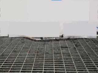 bontott MITSUBISHI L200 Nívópálca