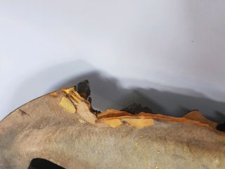 bontott MITSUBISHI OUTLANDER Motorháztető Szigetelés