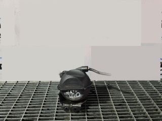 bontott MITSUBISHI OUTLANDER Vákum Tartály