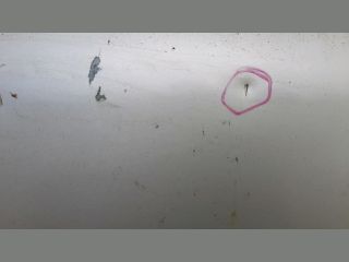 bontott MITSUBISHI PAJERO Motorháztető