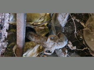 bontott MOSKVICH ALEKO Bal hátsó Ablakemelő Szerkezet (Mechanikus)