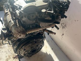 bontott NISSAN ALMERA II Motor (Fűzött blokk hengerfejjel)