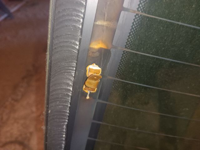 bontott NISSAN ALMERA II Hátsó Szélvédő