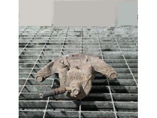 bontott NISSAN JUKE Bal első Fékkengyel