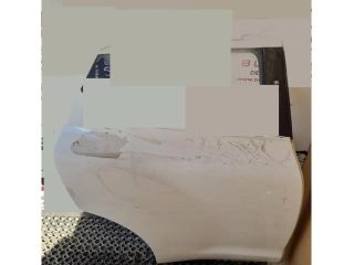 bontott NISSAN JUKE Jobb hátsó Ajtó (Üres lemez)