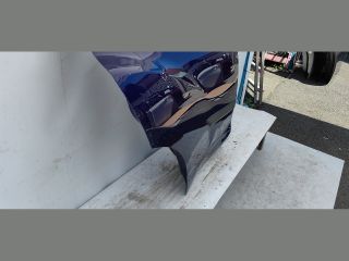 bontott NISSAN JUKE Jobb hátsó Ajtó (Üres lemez)