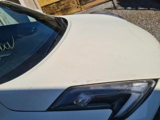 bontott NISSAN JUKE Motorháztető