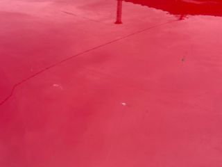 bontott NISSAN LEAF Bal hátsó Ajtó (Üres lemez)