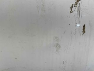 bontott NISSAN MICRA III Jobb hátsó Ajtó (Üres lemez)