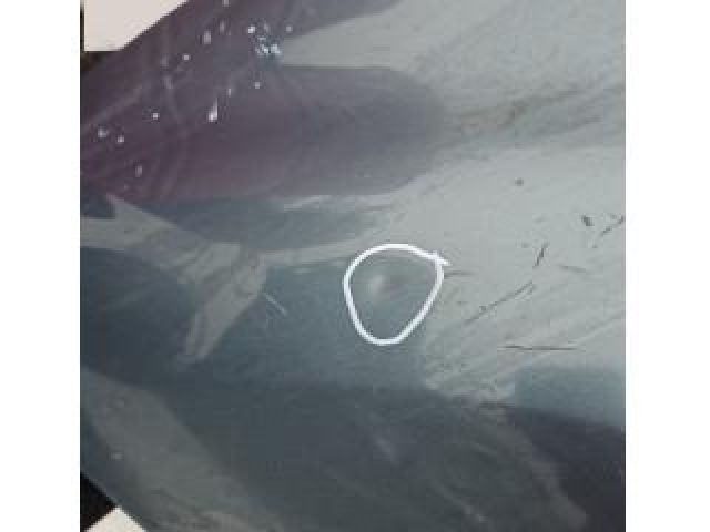 bontott NISSAN MICRA IV Bal első Sárvédő