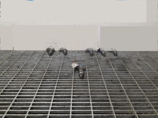 bontott NISSAN MURANO Porlasztó (1 db)