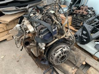 bontott NISSAN NAVARA Motor (Fűzött blokk hengerfejjel)
