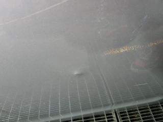 bontott NISSAN NAVARA Bal hátsó Ajtó (Üres lemez)