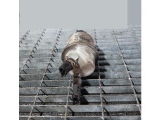 bontott NISSAN PATHFINDER Szervóolaj Tartály