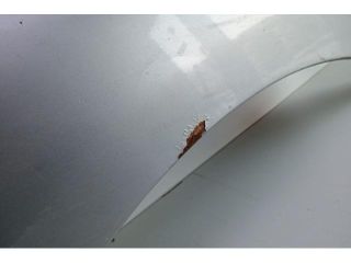 bontott NISSAN PRIMASTAR Bal első Sárvédő