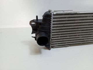 bontott NISSAN PRIMASTAR Vízhűtő Radiátor Tartó