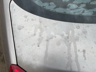 bontott NISSAN PRIMERA Csomagtérajtó (Üres lemez)