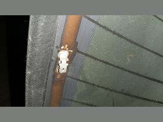 bontott NISSAN PRIMERA Hátsó Szélvédő