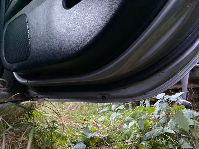 bontott NISSAN PRIMERA Jobb hátsó Ajtó (Üres lemez)