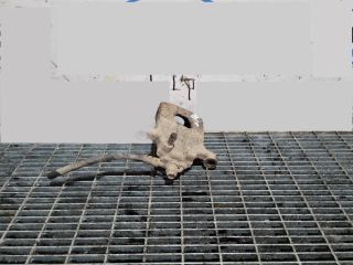 bontott NISSAN QASHQAI Jobb hátsó Fékkengyel