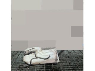 bontott NISSAN QASHQAI Ablakmosó Tartály