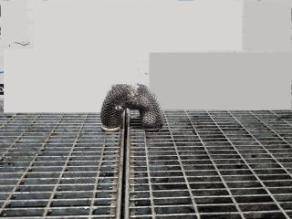 bontott NISSAN QASHQAI II EGR Hűtő Cső