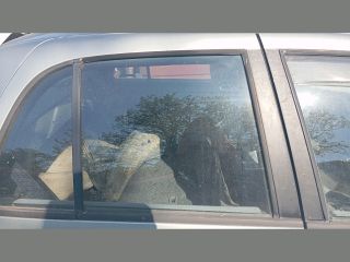 bontott NISSAN SUNNY Jobb hátsó Ablak