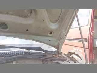 bontott NISSAN SUNNY Motorháztető