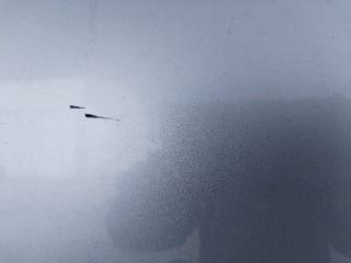 bontott NISSAN X-TRAIL I Bal hátsó Ajtó (Üres lemez)