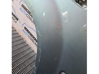 bontott NISSAN X-TRAIL I Jobb hátsó Ajtó (Üres lemez)