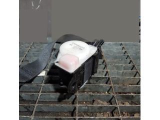 bontott NISSAN X-TRAIL II Bal hátsó Biztonsági Öv