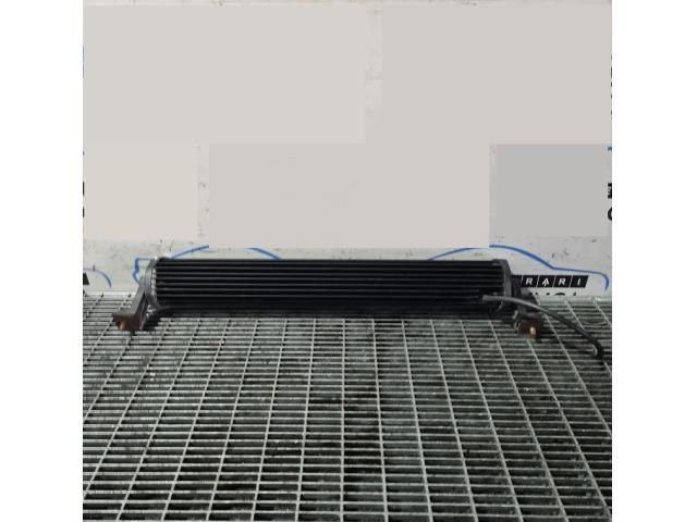 bontott NISSAN X-TRAIL II Első Lökhárító Díszléc