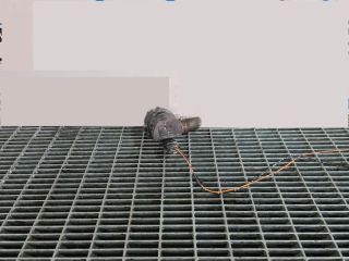 bontott NISSAN X-TRAIL II Fűtéscsap