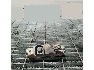 bontott NISSAN X-TRAIL II Jobb Alsó Hátsó Lámpa