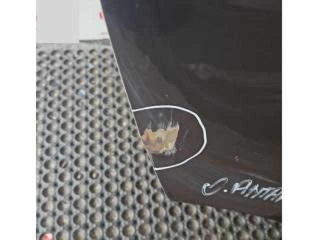 bontott OPEL ANTARA Jobb hátsó Ajtó (Üres lemez)