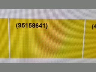 bontott OPEL ANTARA Jobb hátsó Ajtó (Üres lemez)