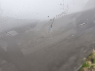 bontott OPEL ANTARA Jobb hátsó Ajtó (Üres lemez)