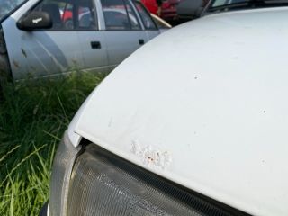 bontott OPEL ASTRA F Motorháztető