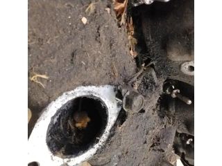 bontott OPEL ASTRA G Hengerfej