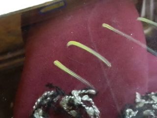 bontott OPEL ASTRA G Jobb C Oszlop Oldalablak Üveg