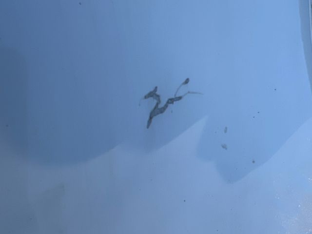 bontott OPEL ASTRA H Bal első Ajtó (Üres lemez)