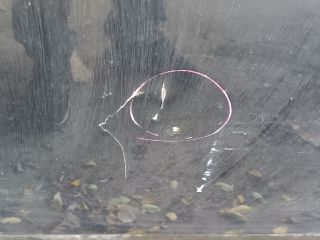 bontott OPEL ASTRA J Motorháztető