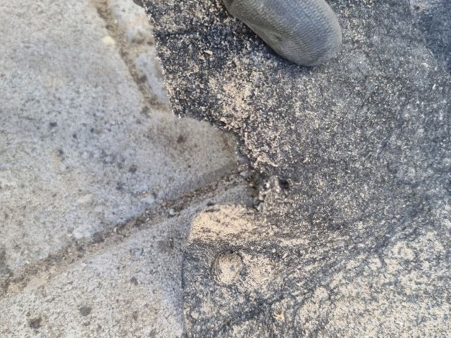 bontott OPEL ASTRA K Bal első Dobbetét (Kerékjárati, Műanyag)