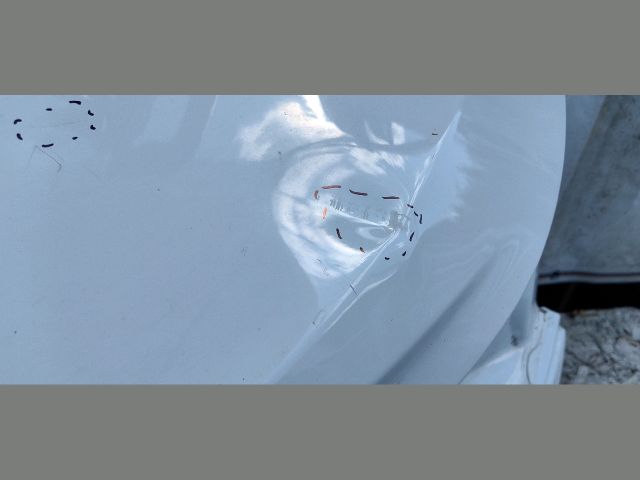 bontott OPEL CASCADA Csomagtérajtó (Üres lemez)