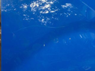 bontott OPEL COMBO Jobb első Sárvédő