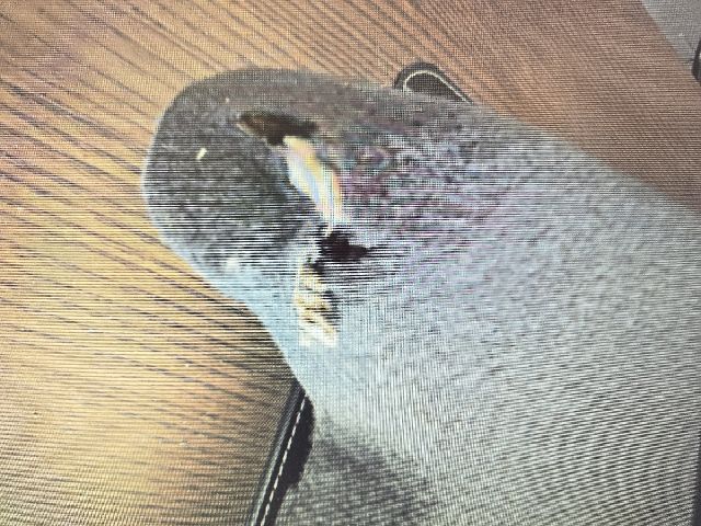 bontott OPEL CORSA C Kalaptartó